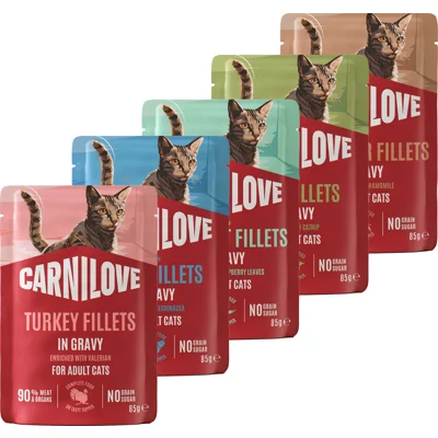 Carnilove Pouch Gravy Cat - Fazant verrijkt met Frambozenbladeren - 24 x 85 g