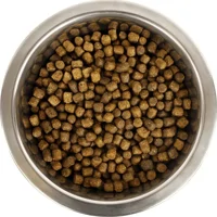 Yourdog Koningspoedel Pup 12kg