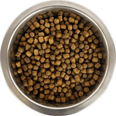 Yourdog Koningspoedel Pup 12kg