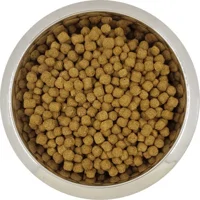 Yourdog Dwerg- Of Toypoedel Senior 12kg Yourdog Dwerg- Of Toypoedel Senior 12kg