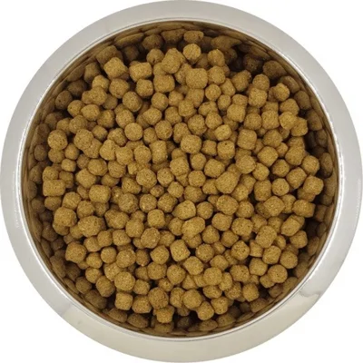 Yourdog Dwerg- Of Toypoedel Senior 12kg
