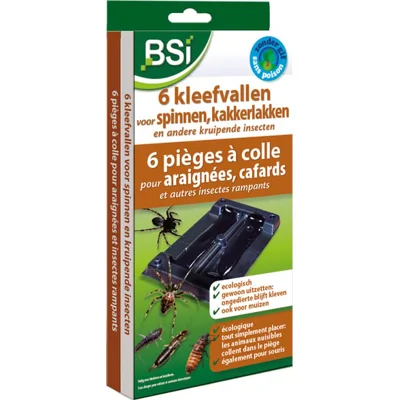 6 Kleefvallen Tegen Kruipende Insecten - Werkt goed tegen spinnen - Ecologisch product - 6 vallen in 1 verpakking