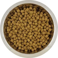 Yourdog Dwerg- Of Toypoedel Volwassen 12kg Yourdog Dwerg- Of Toypoedel Volwassen 12kg