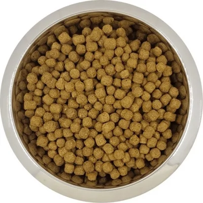Yourdog Dwerg- Of Toypoedel Volwassen 12kg