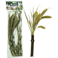 Back Zoo Nature Setaria - 30 gram