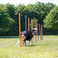 Trixie Dog Activity Agility slalom hond product name
