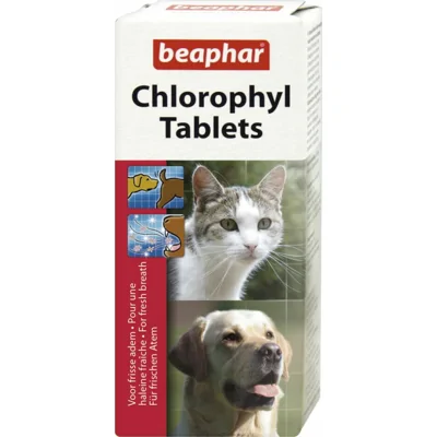 6x Beaphar Chlorophyl 30 tabletten