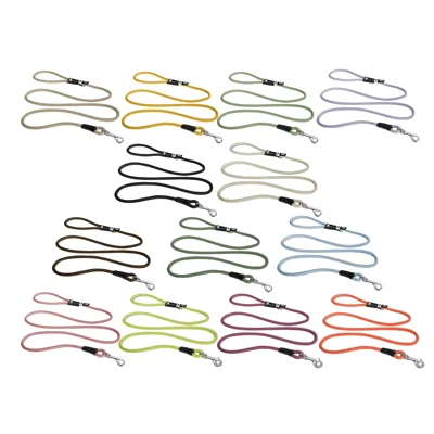 Curli Stretch Comfort Leash - Mango - L