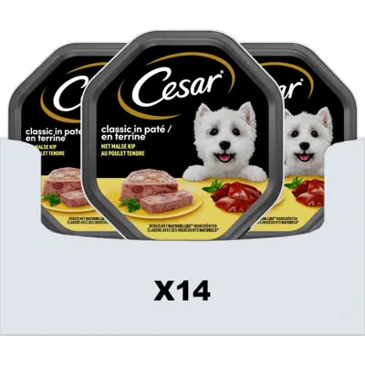 14x Cesar Alu Kip 150 gr
