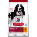 Hills Adult Kip 2,5 kg