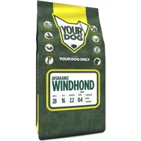 Yourdog Afghaanse Windhond Pup 3kg