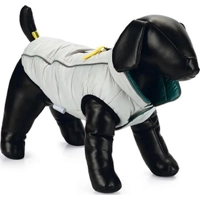 Beeztees Hondenjas Maly - Lichtgrijs/Groen - 24 cm
