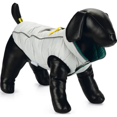 Beeztees Hondenjas Maly - Lichtgrijs/Groen - 24 cm