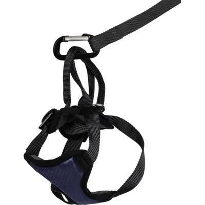 Petsafe Honderharnas DeLuxe Safety