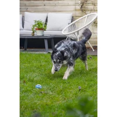 Beeztees Fetch Tennisballen