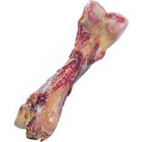 Nobby Parmabeen - 24 cm - 1 stuk