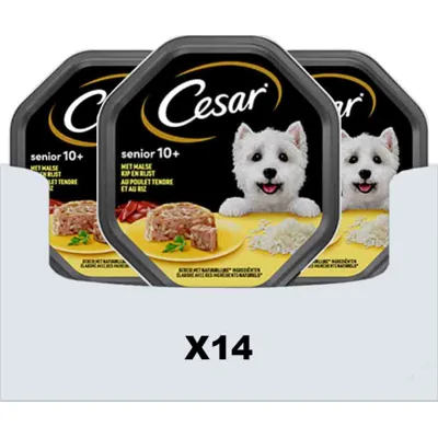 14x Cesar Senior in Gelei Kuipje Kip en Rijst 150 gr