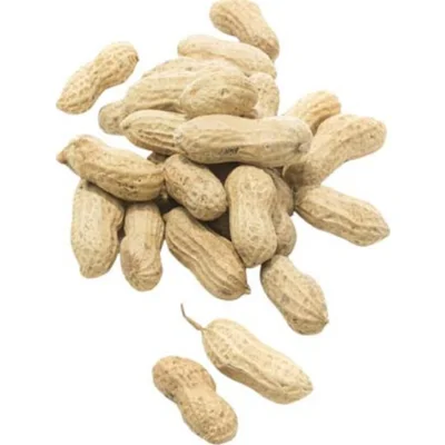 Doppinda's Buitenvogels 10 kg