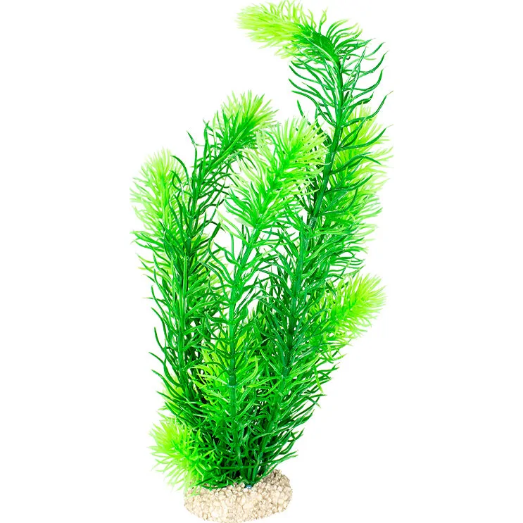 Aqua Della Hornwort - 32 cm