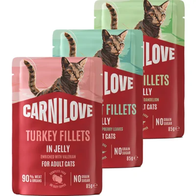 Carnilove Pouch Jelly Cat - Kwartel verrijkt met Paardenbloem - 24 x 85 g
