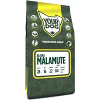 Yourdog Alaska Malamute Pup 3kg