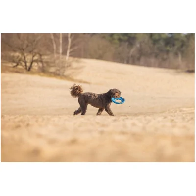 Beeztees Foam Frisbee - Blauw