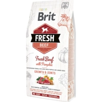 Brit Fresh Beef with Pumpkin Puppy Large - 2,5 kg