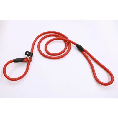 Correctielijn nylon met reflectie 12 mm x 170 cm Rood