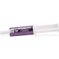 Audevard Ekygard+ Flash 60 ml