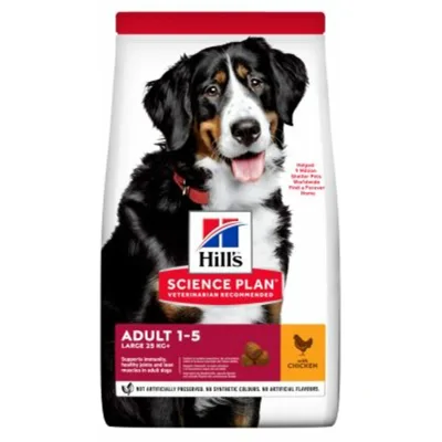 Hills Adult Large Breed Kip 12 kg