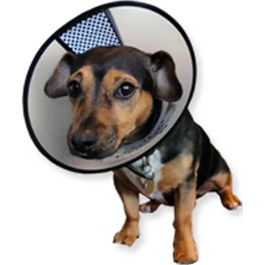 AA-Vet Easyfix-Collar - XXS