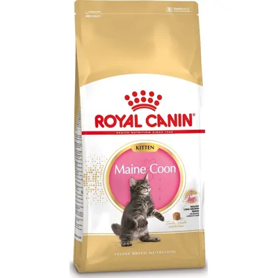 Royal Canin Maine Coon voer voor kitten 2kg