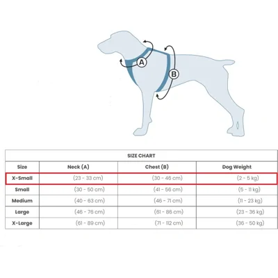 Kurgo Journey Air Harness