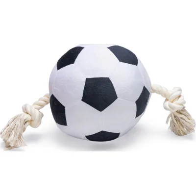 Beeztees Voetbal met Touw - 36 cm