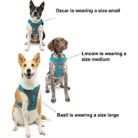 Kurgo Journey Air Harness