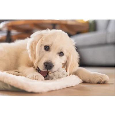 Beeztees Puppy Speelbal Denise - 6,2 cm
