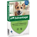 Advantage 400 Hond 25-40 kg 4 pipetten