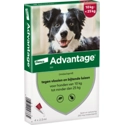 Advantage 250 Hond 10-25 kg 4 pipetten
