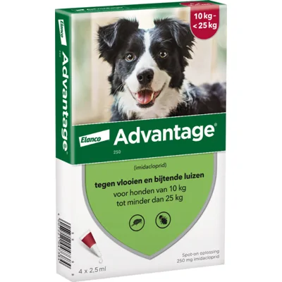 Advantage 250 Hond 10-25 kg 4 pipetten