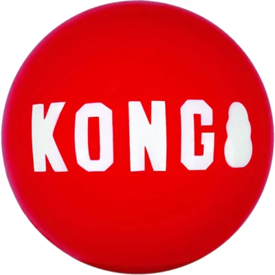 Kong Signature Balls Medium