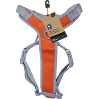 Hurtta Venture No-pull Harness - Buckthorn - 60-80 cm
