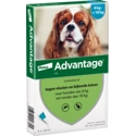 Advantage 100 Hond 4-10 kg 4 pipetten