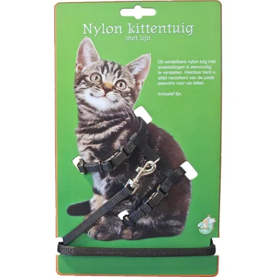 Kittentuig met kliksysteem Zwart