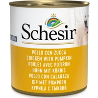 Schesir Hondenvoer Kip Pompoen in Gelei 285 gr
