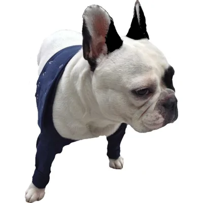 Medical Pet Shirt TAZ2 Voorpoot Mouwtjes XXXS