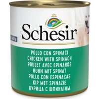 Schesir Hondenvoer Kip Spinazie in Gelei 285 gr