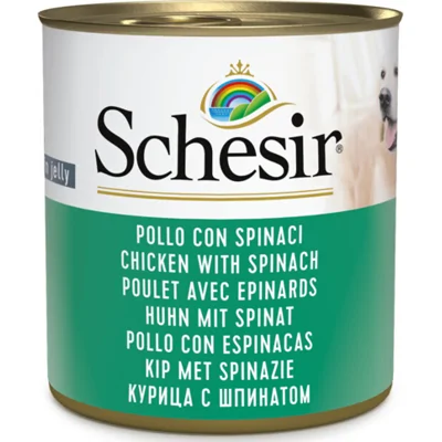 Schesir Hondenvoer Kip Spinazie in Gelei 285 gr