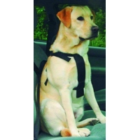 Beeztees Wandel- en Autogordel Hond L