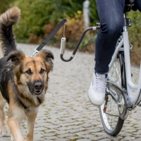 Trixie Fietsbeugel Fiets-Set U-vorm M-XL product name