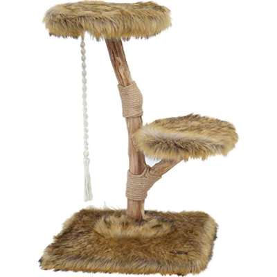 Boony Est 1941 Klimboom Prunus Grizzly Bruin 85 cm